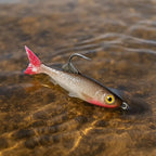 Kit com 5 Iscas Artificiais Lambari Pescaria Pesca Dourado Traíra Bass Tucunaré Robalo